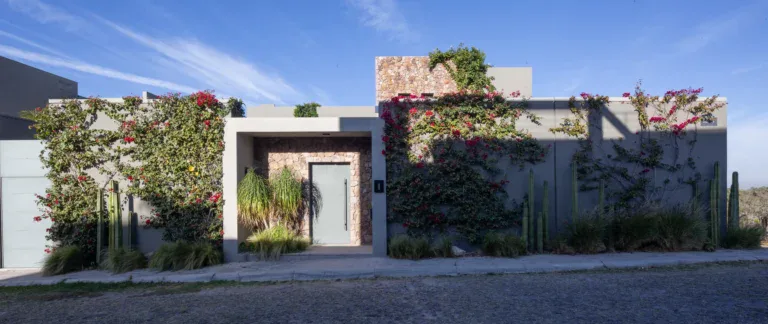 Casa Luz, street facade with a gated entrance, bougainvillea and cacti along a gray wall, San Miguel de Allende
