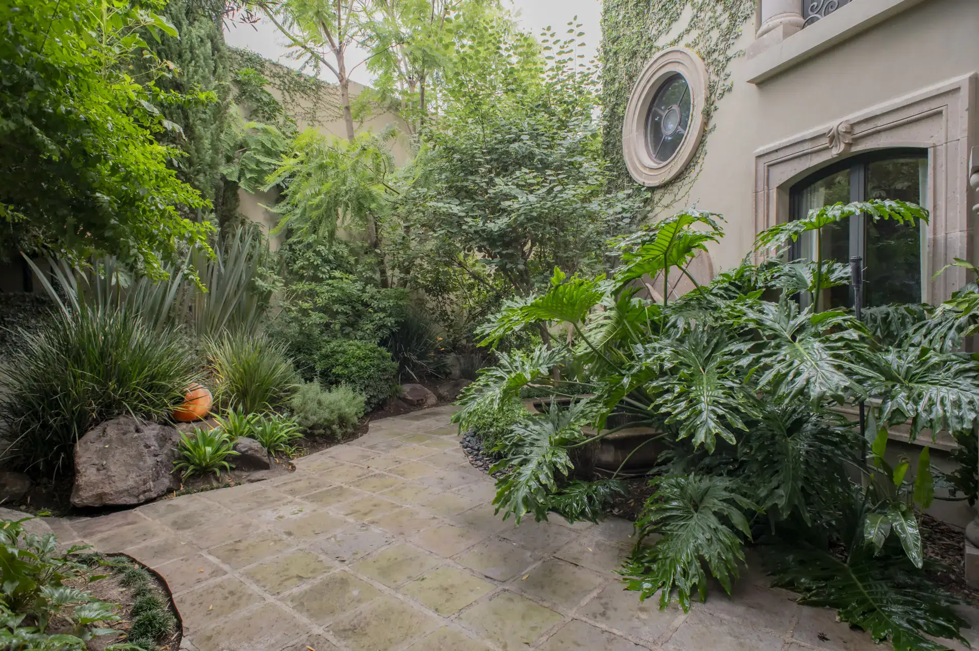 Casa Lyla, garden courtyard with a stone path, large philodendron leaves and a round window on the house wall, San Miguel de Allende