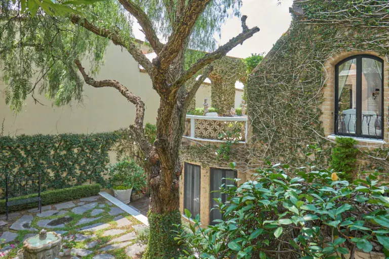 Casa Mi Besito, ivy-covered courtyard house with a pepper tree, a hedge and flagstone paving, San Miguel de Allende