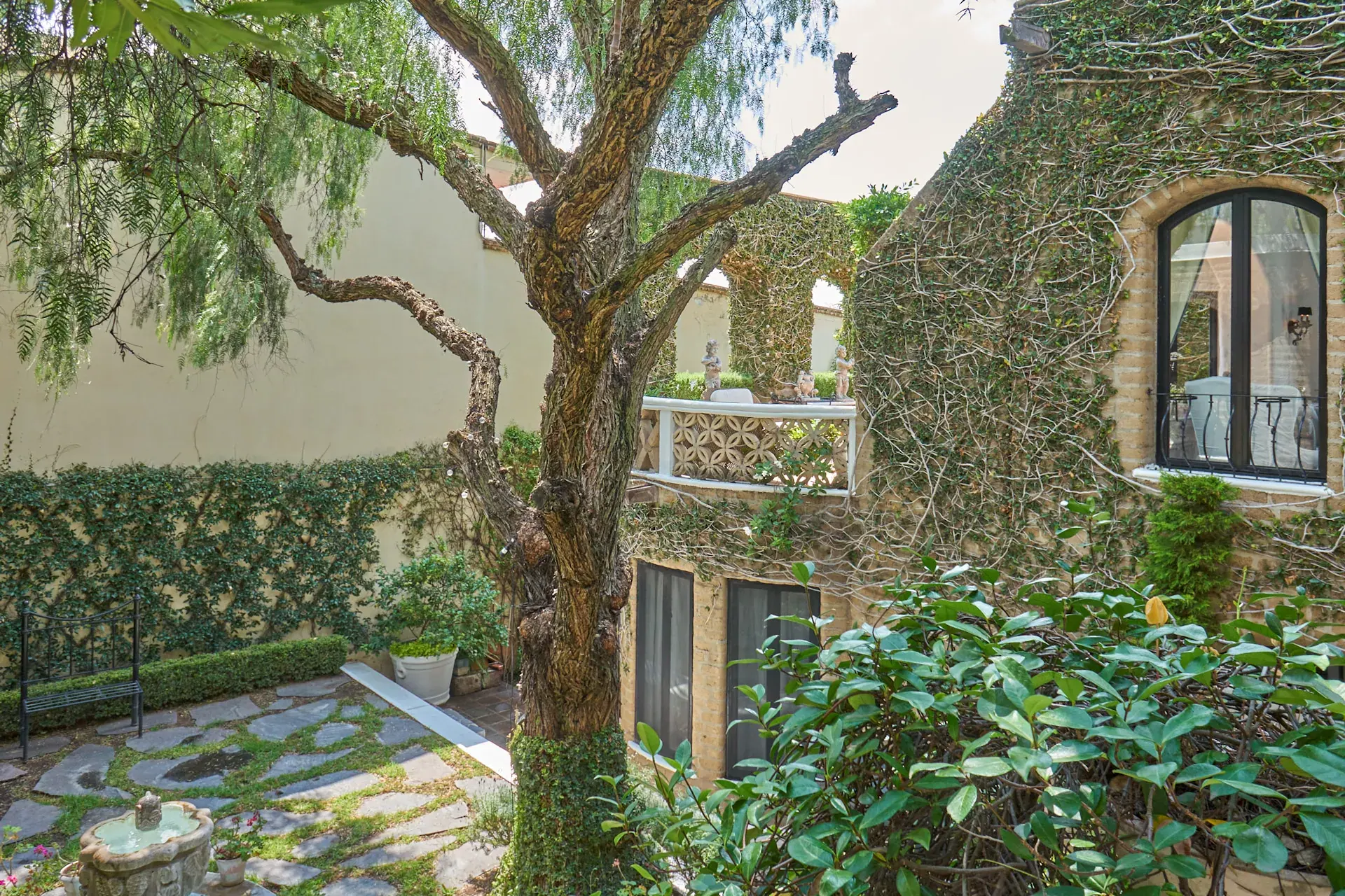 Casa Mi Besito, ivy-covered courtyard house with a pepper tree, a hedge and flagstone paving, San Miguel de Allende