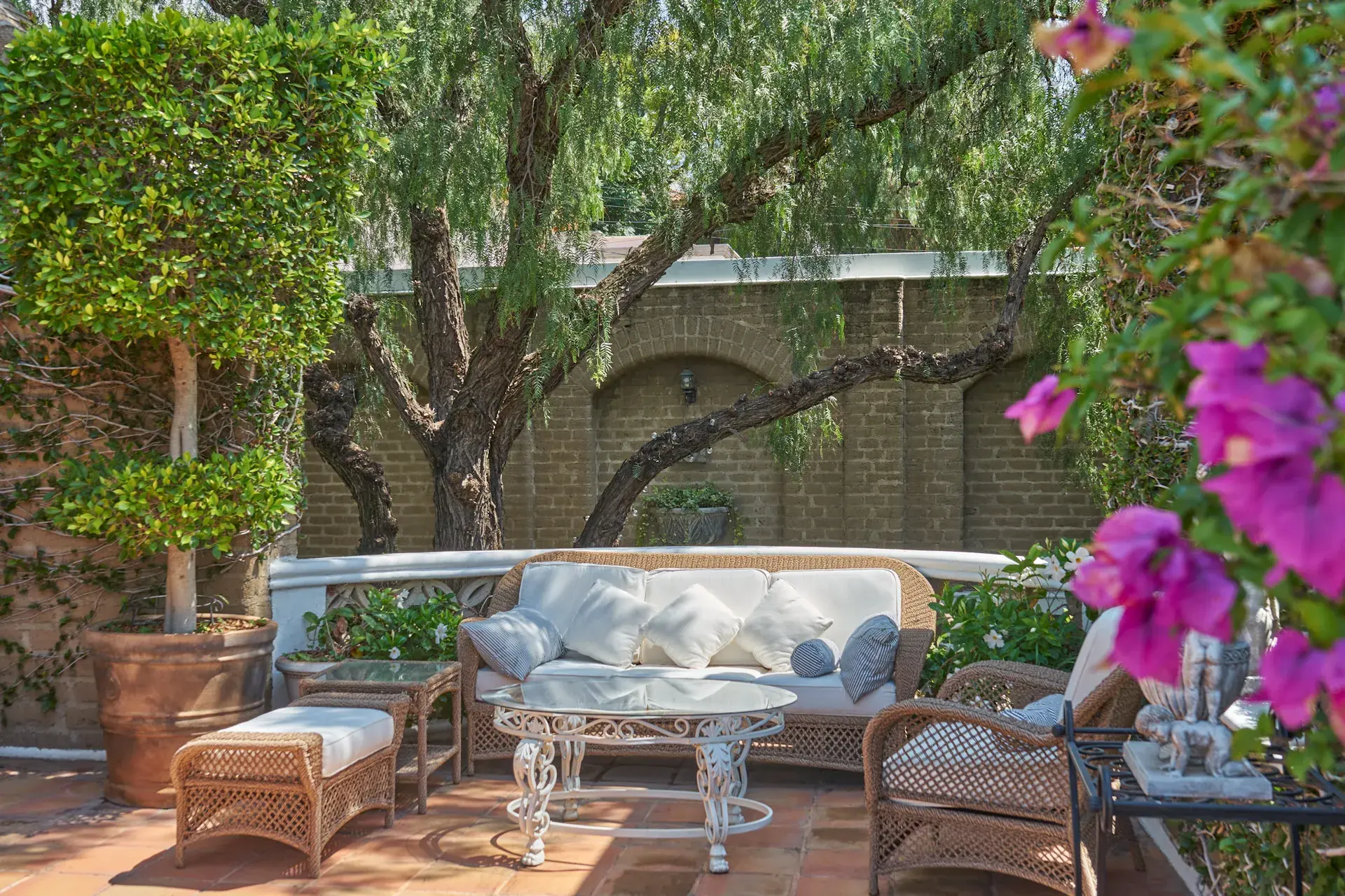 Casa Mi Besito, terrace with a white wicker sofa, a glass coffee table and bougainvillea under a pepper tree, San Miguel de Allende