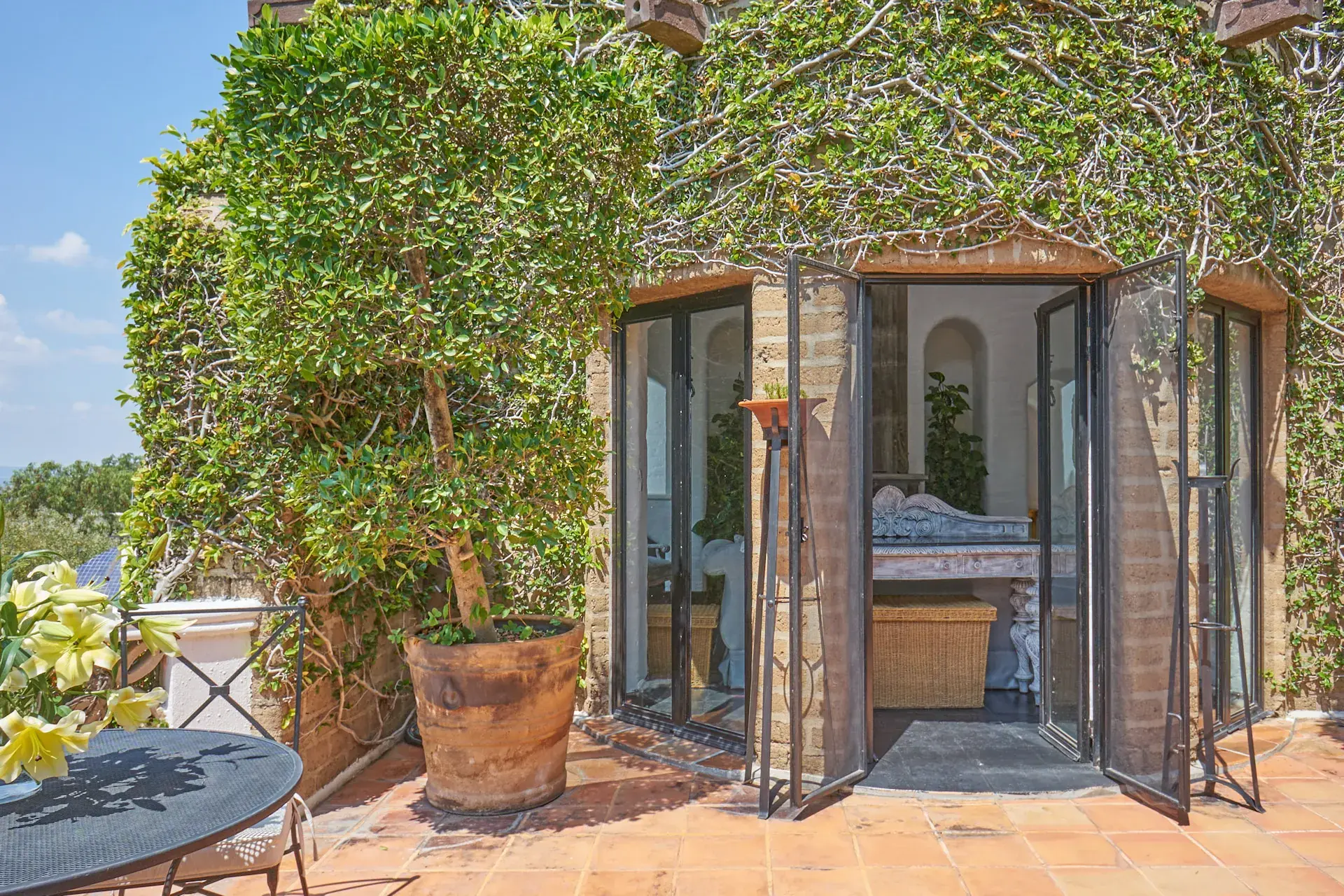 Casa Mi Besito, terrace with a round table, a potted tree and ivy-covered walls beside French doors, San Miguel de Allende