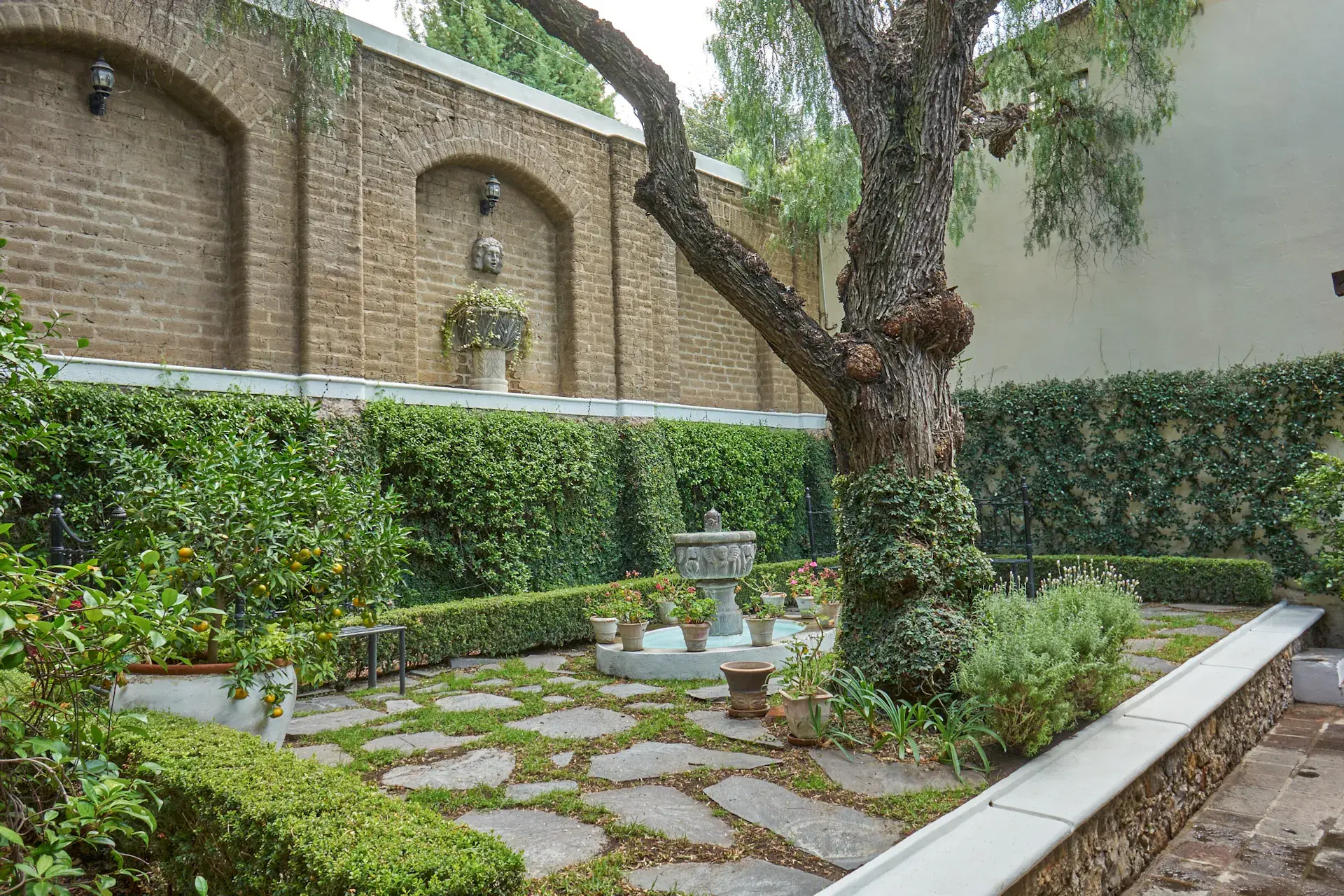 Casa Mi Besito, courtyard garden with a fountain, a pepper tree, brick walls with niches and hedges, San Miguel de Allende
