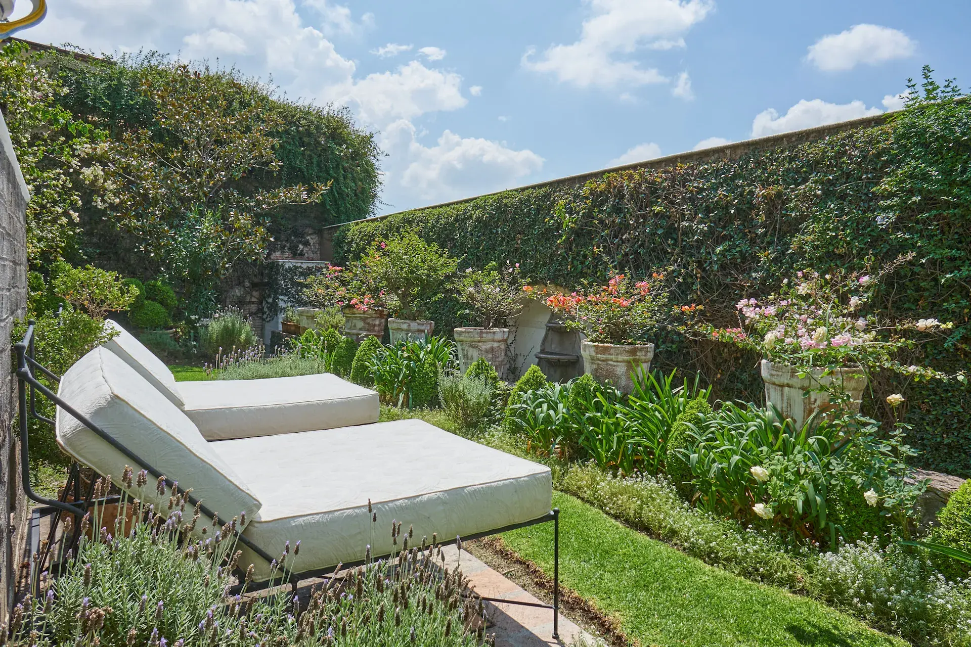 Casa Mi Besito, garden with two white lounge chairs on a lawn beside flower beds and a tall hedge, San Miguel de Allende