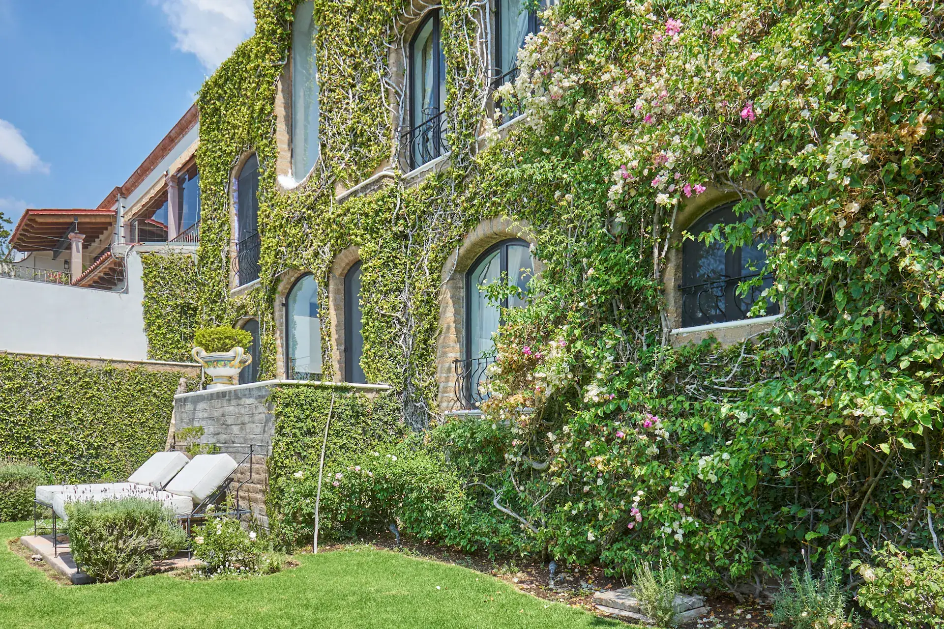 Casa Mi Besito, ivy-covered house wall with arched windows, pink flowers and a garden lawn, San Miguel de Allende