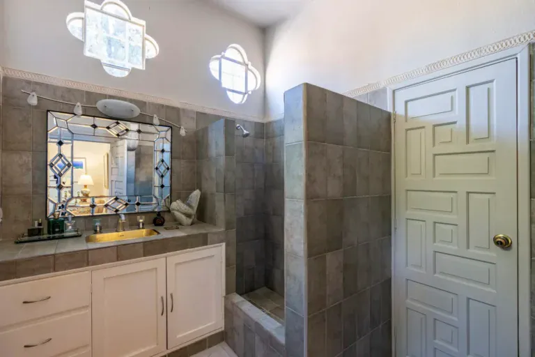 Casa Nispero, bathroom with a gray tile shower, a stone vanity with a decorative mirror and a paneled door, San Miguel de Allende