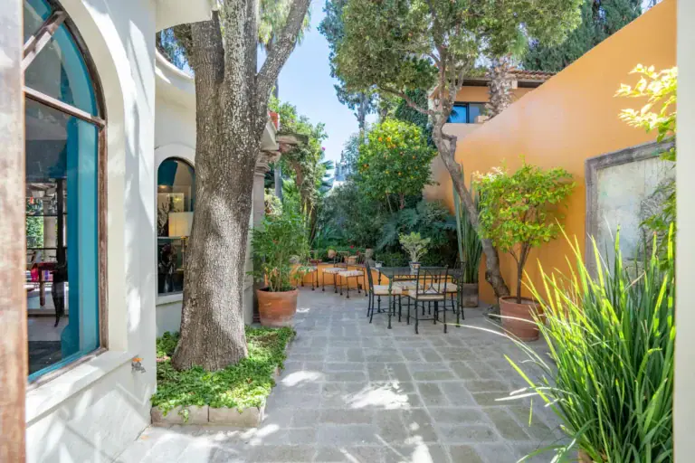 Casa Nispero, garden courtyard with a stone paver terrace, tall trees, an orange wall and a dining set, San Miguel de Allende