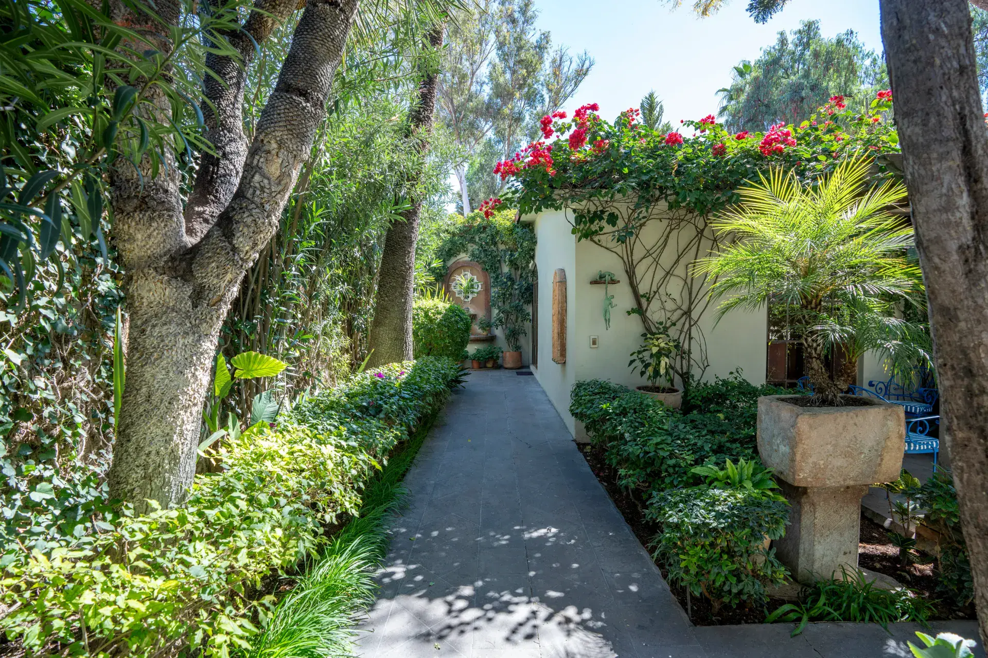 Casa Nispero, garden path with a stone planter, climbing red flowers and a palm tree, San Miguel de Allende