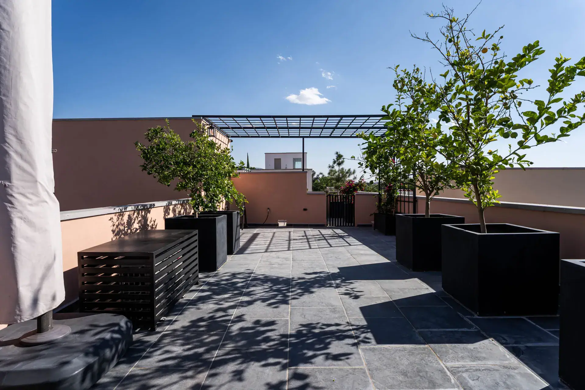 Casa Nobel, rooftop terrace with slate paving, potted lemon trees and a steel pergola, San Miguel de Allende