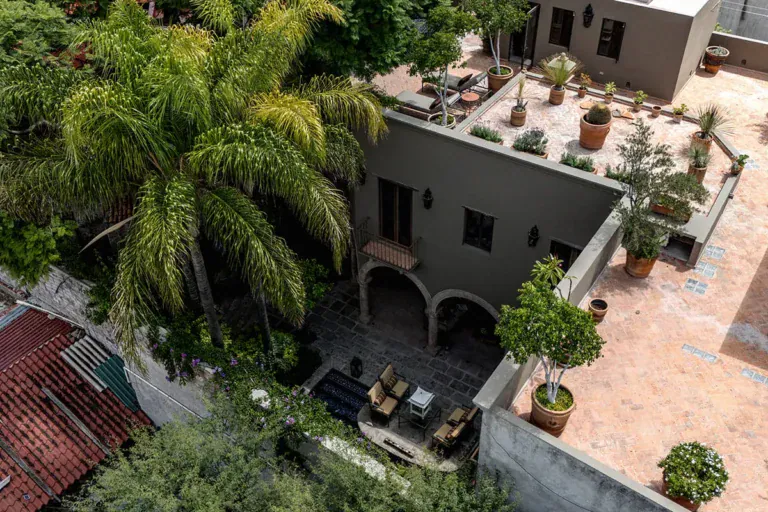 Casa Nola, aerial view of the courtyard and rooftop terrace among palm trees, San Miguel de Allende