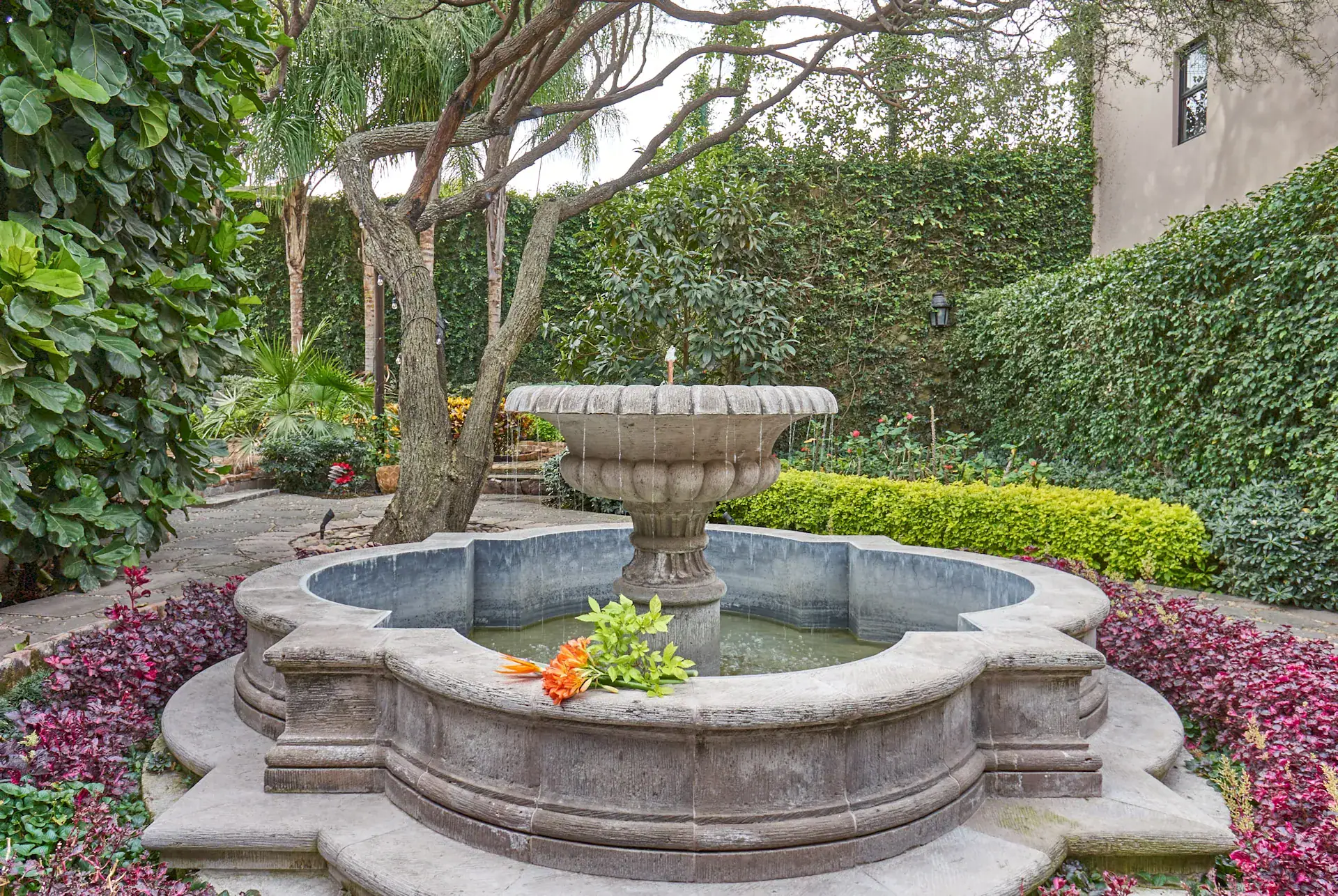 Casa Oasis, stone fountain in a garden with a clipped hedge and pink flowers, San Miguel de Allende