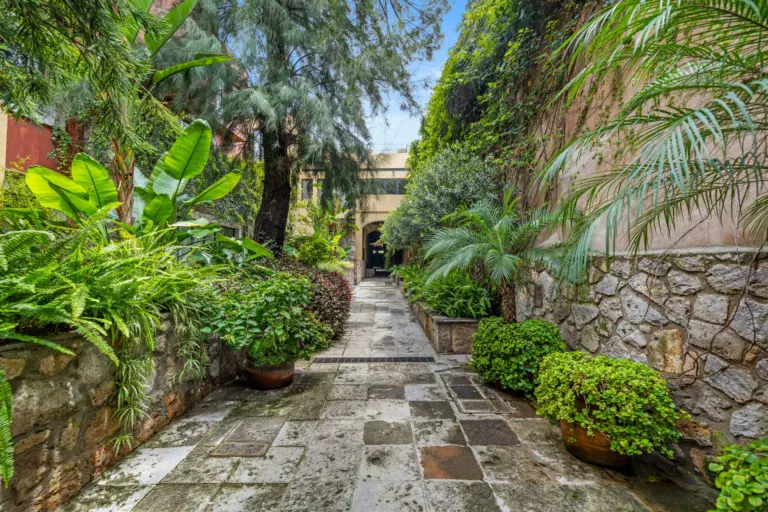 Casa Paradise, garden path of flagstones between ferns and a stone wall, San Miguel de Allende