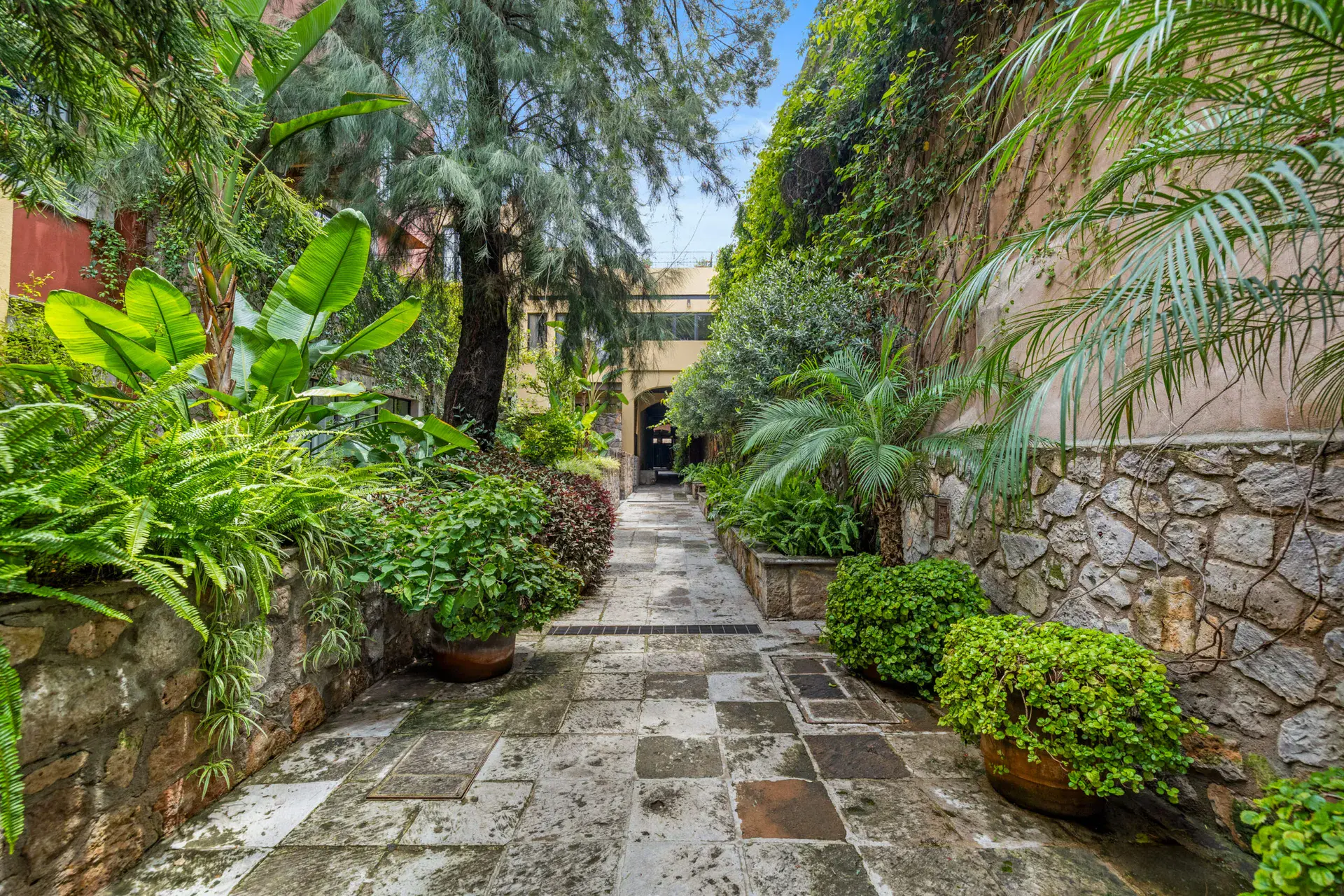 Casa Paradise, garden path of flagstones between ferns and a stone wall, San Miguel de Allende