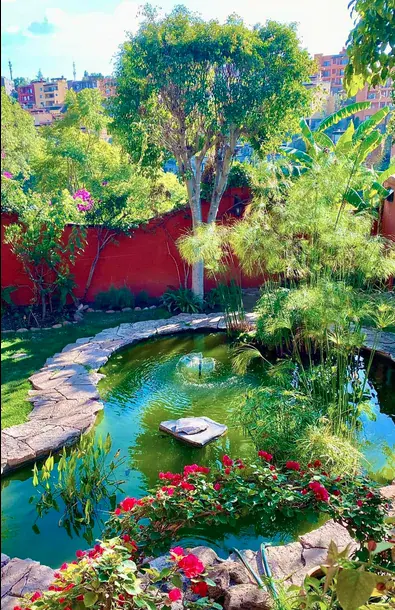 Casa Puesta del Sol, garden pond with red flowers and trees beside a red wall, San Miguel de Allende