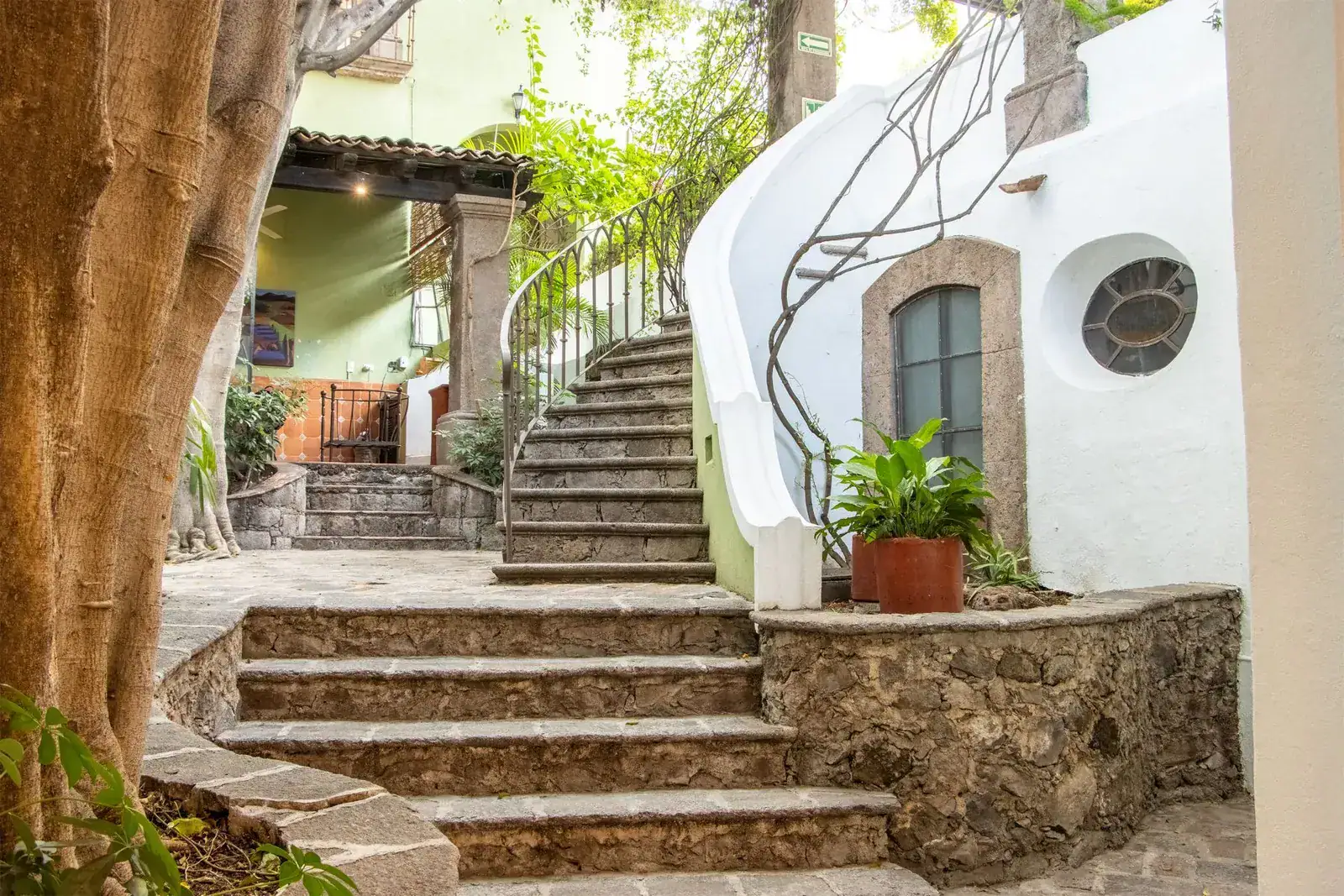 Casa Quetzal Hotel, stone steps and a curving whitewashed staircase with an iron railing under a large tree in the courtyard, San Miguel de Allende