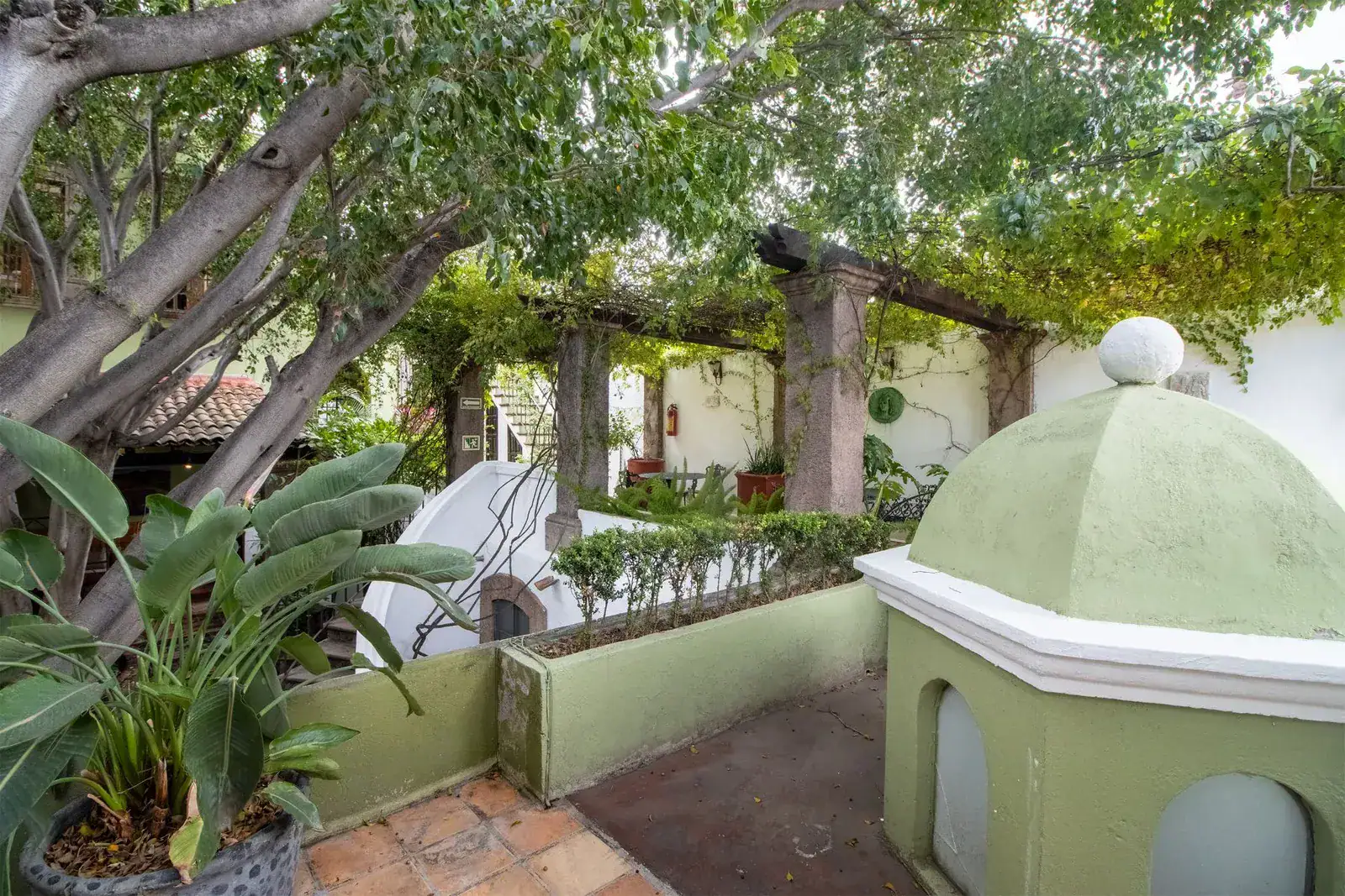 Casa Quetzal Hotel, rooftop terrace under trees with a green dome, a pergola and tropical plants, San Miguel de Allende