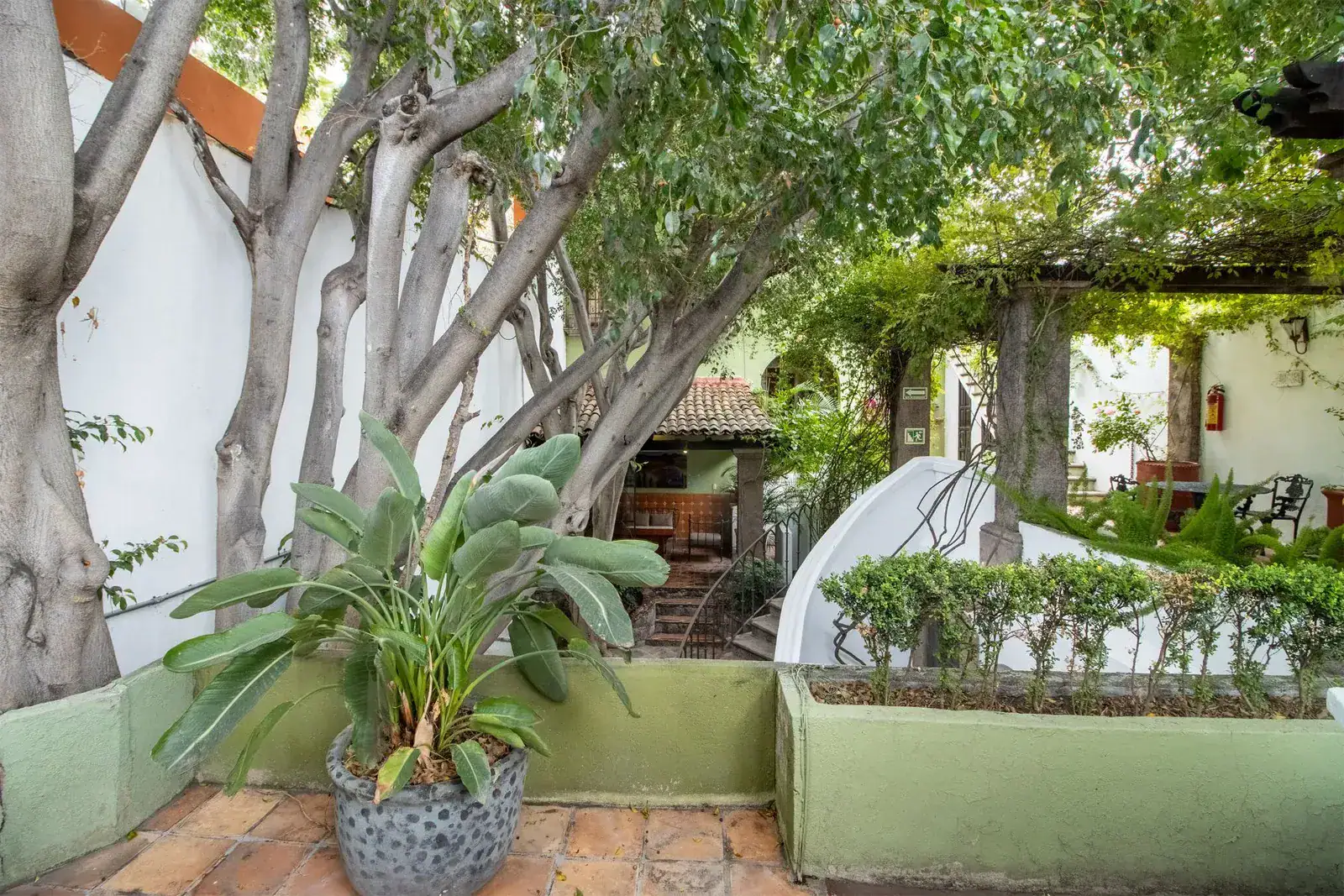 Casa Quetzal Hotel, terrace with a pergola, a tree trunk and a green dome seating area, San Miguel de Allende