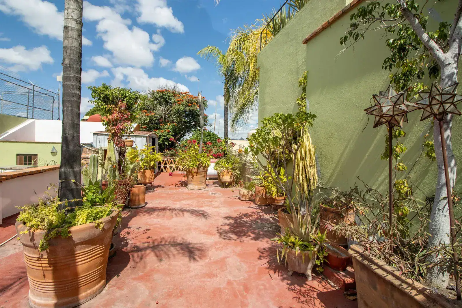 Casa Quetzal Hotel, red-paved rooftop terrace with large potted plants and palms under a blue sky, San Miguel de Allende