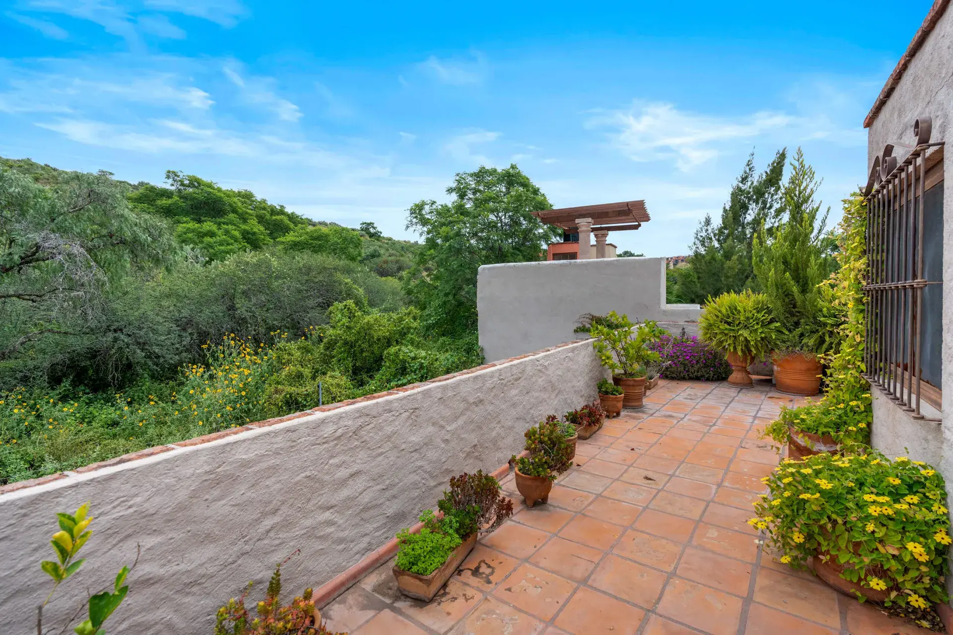 Casa Roka, long terrace with a terracotta floor, potted flowers and a view over green hills, San Miguel de Allende