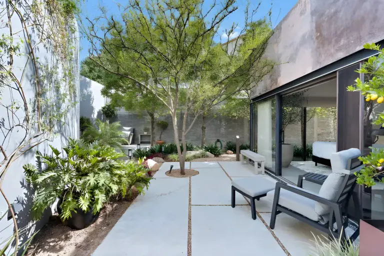 Casa Sanchez Renero, inner courtyard with a mature tree, concrete pavers, lounge chairs and a bedroom beyond, San Miguel de Allende