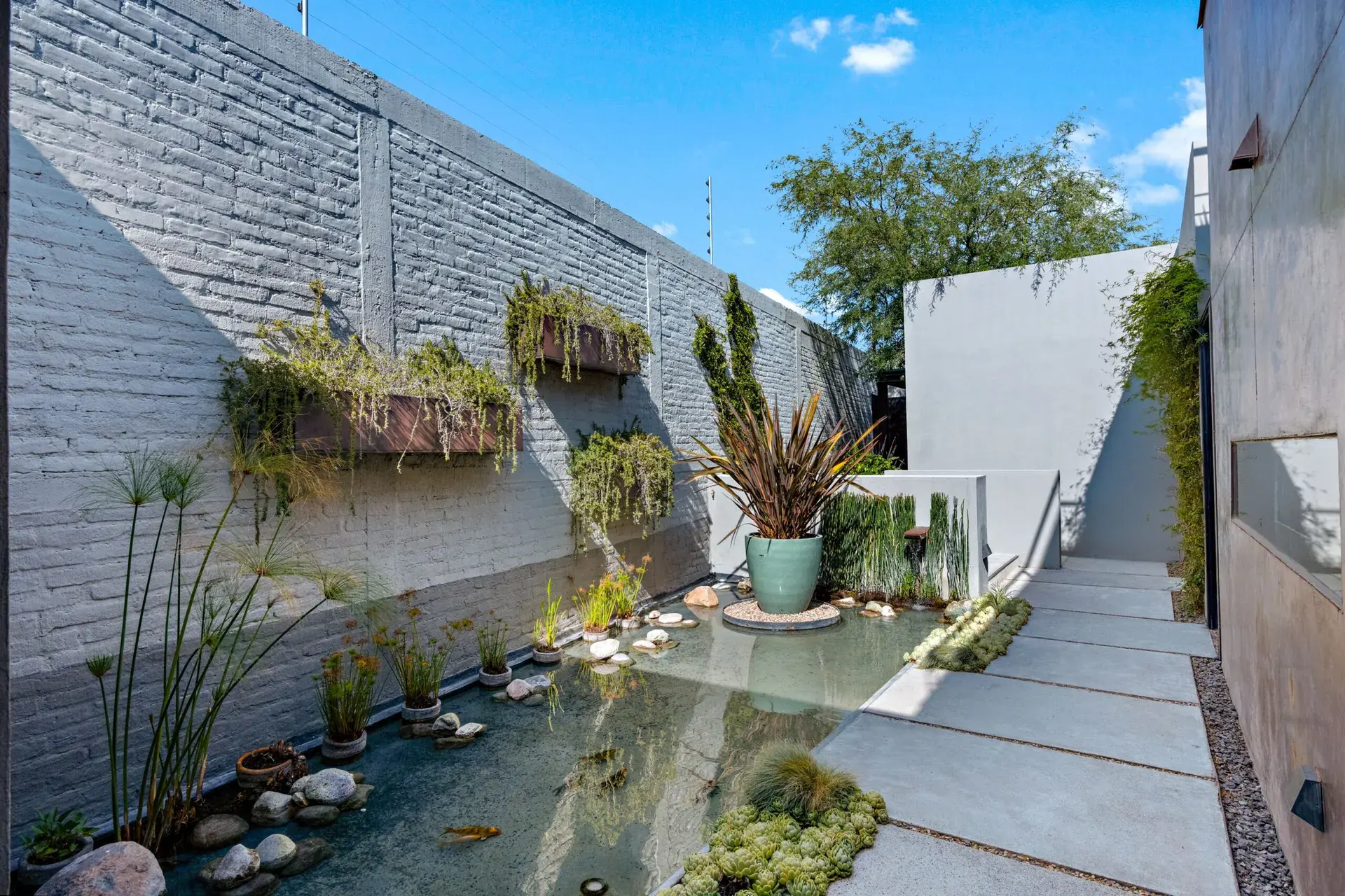 Casa Sanchez Renero, side garden with a shallow pond, papyrus plants, stepping stones and a brick wall, San Miguel de Allende