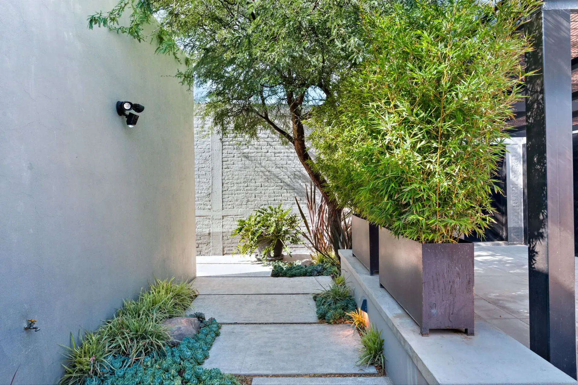 Casa Sanchez Renero, side passage with stepping stones, a bamboo planter and a gray wall, San Miguel de Allende