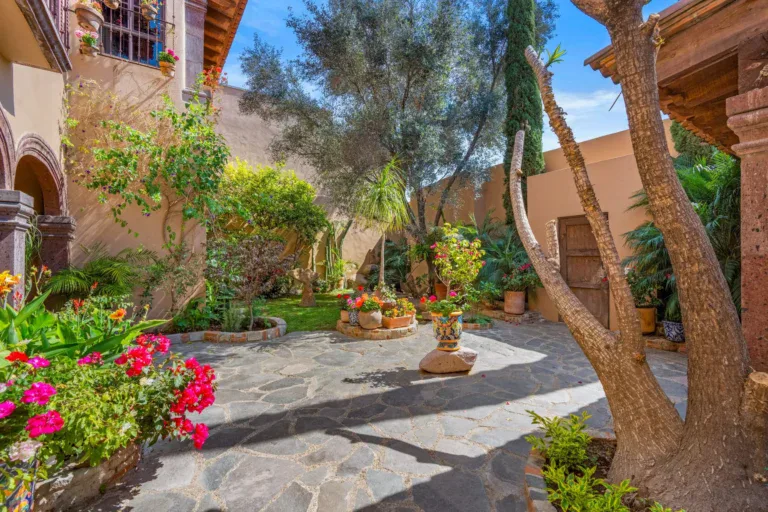 Casa Sirena, garden courtyard with a flagstone path, a gnarled tree, flowering plants and a stone planter, San Miguel de Allende