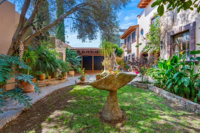 Casa Sirena, garden path with a stone fountain on a lawn, an olive tree and palms with the house behind, San Miguel de Allende