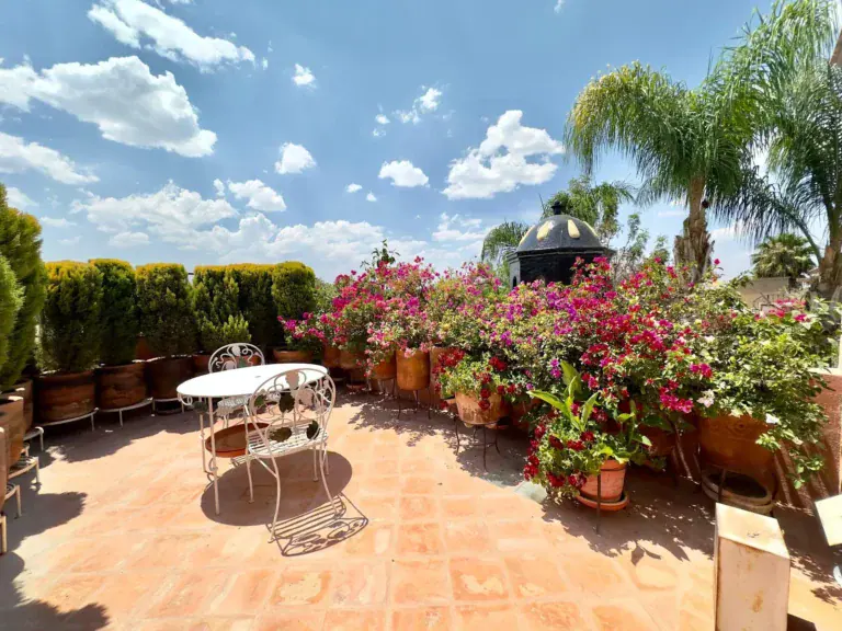 Casa Trebol, rooftop terrace with a small round table, white iron chairs and large pots of bright bougainvillea, San Miguel de Allende
