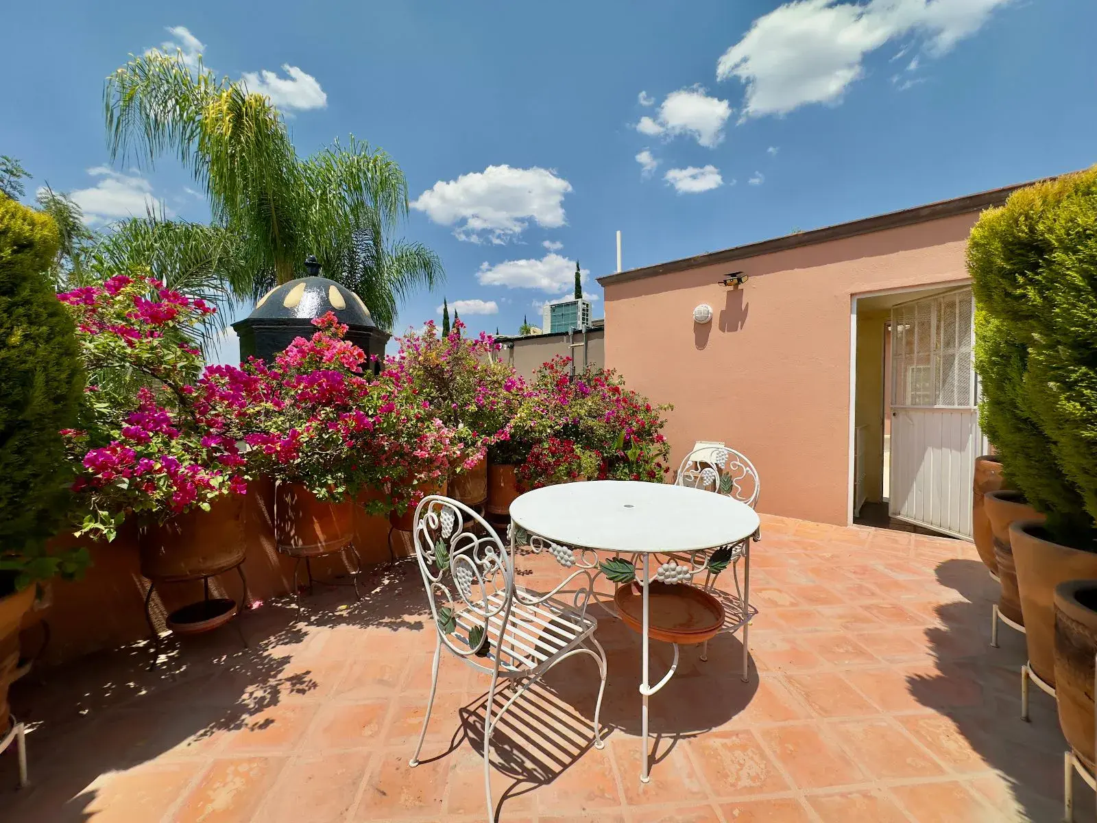 Casa Trebol, rooftop terrace with a round table and chairs among pots of bougainvillea and tall cypress trees, San Miguel de Allende
