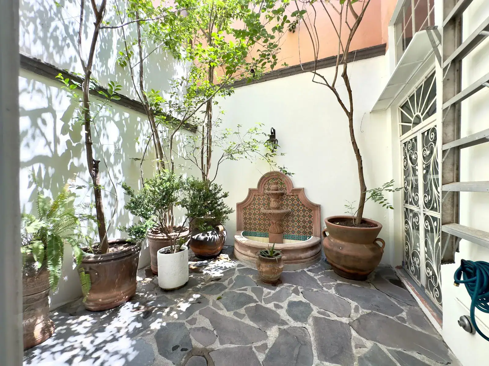 Casa Trebol, small courtyard with a flagstone floor, a tile wall fountain, trees in pots and a wrought-iron screened door, San Miguel de Allende