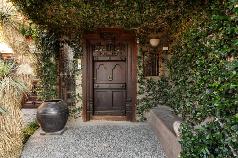 Casa Zen, carved wood entrance door framed by climbing ivy and a large clay pot, San Miguel de Allende
