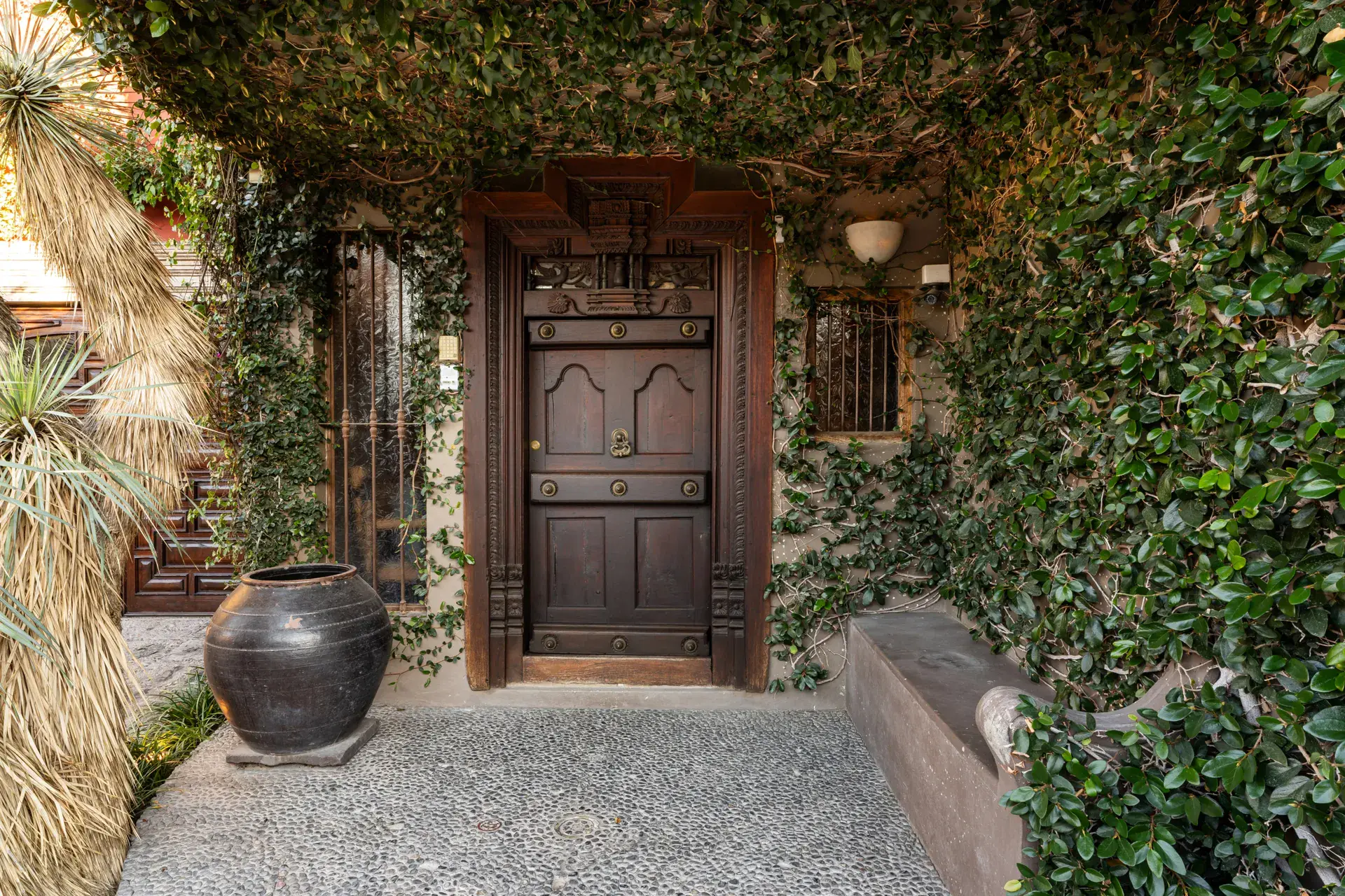 Casa Zen, carved wood entrance door framed by climbing ivy and a large clay pot, San Miguel de Allende