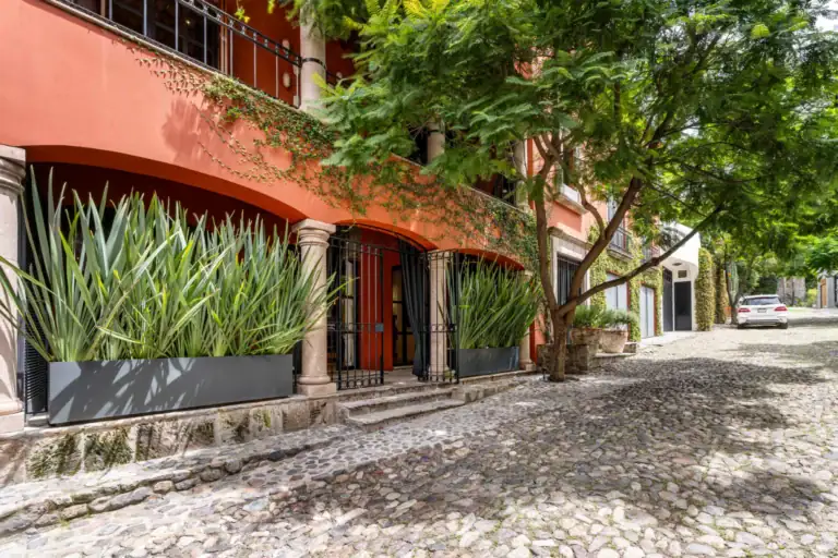 Casa Santa Mónica, street frontage with planters and an arched entrance, San Miguel de Allende