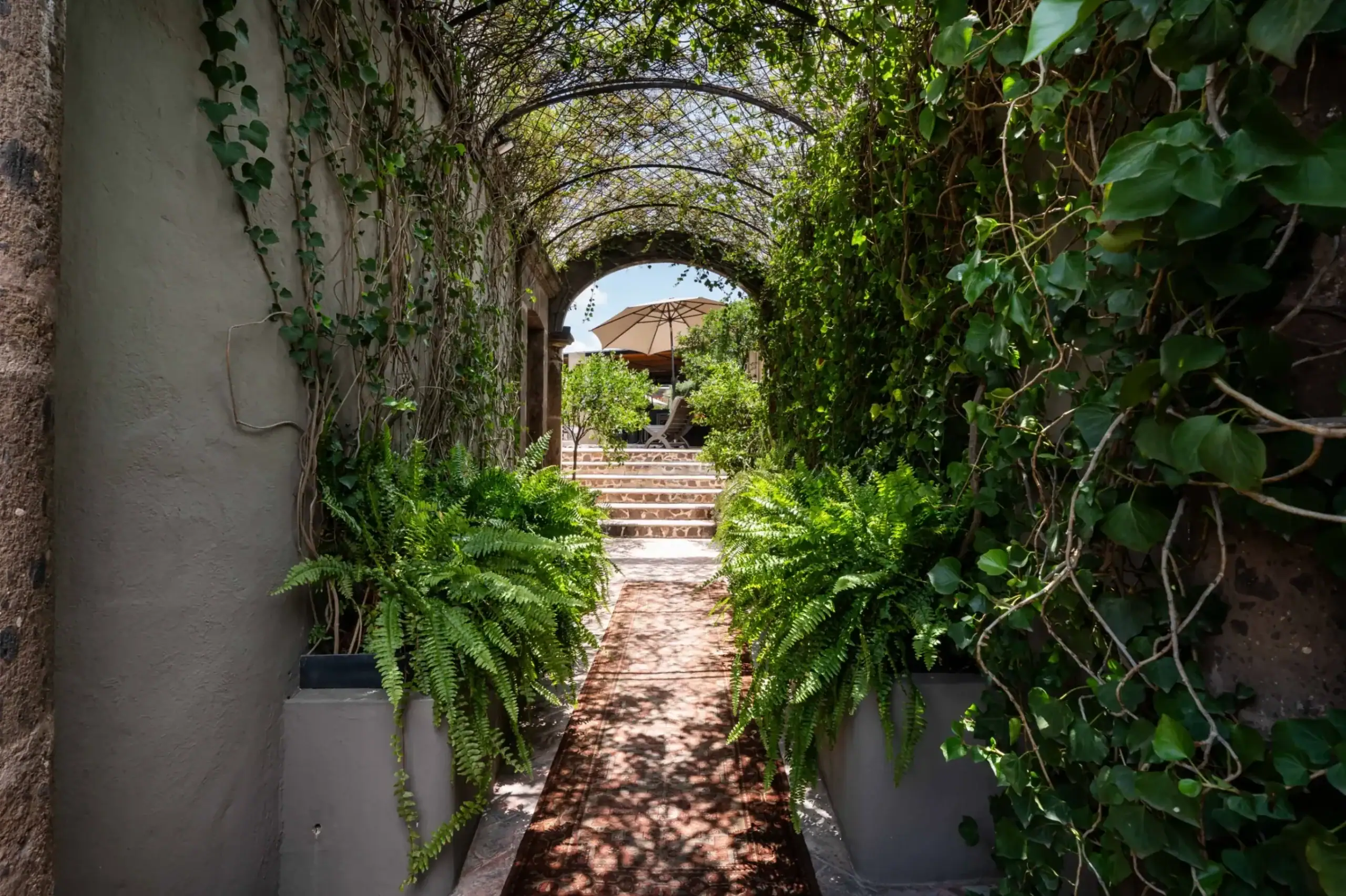 Arching vine-covered tunnel opening to a sunny courtyard with a patio umbrella beyond the steps, San Miguel de Allende