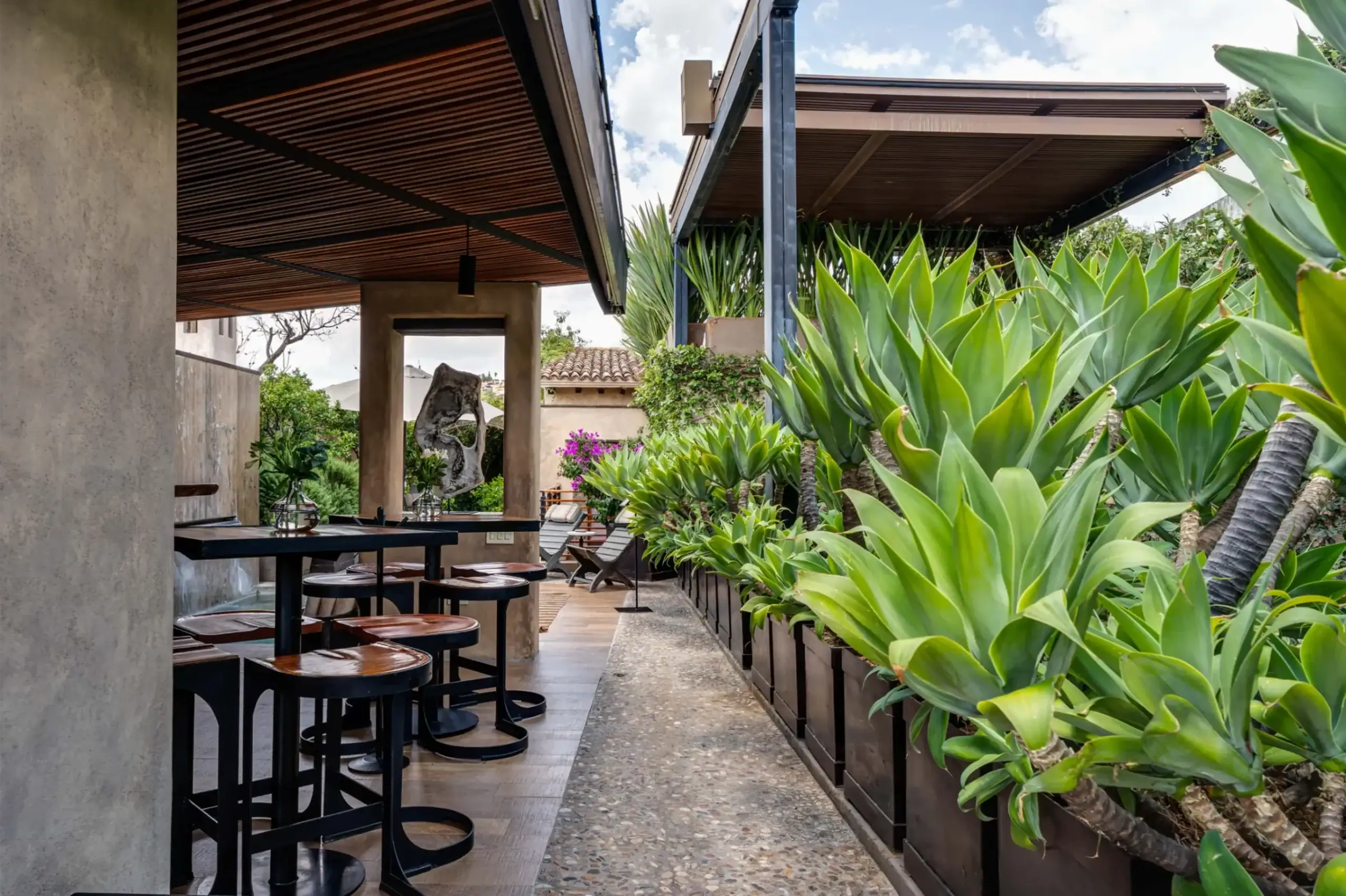 Outdoor dining area with black metal stools at a long wooden counter under a timber roof, surrounded by large green plants, San Miguel de Allende