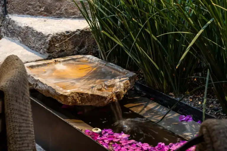 Stone steps beside a stone water trough with pink petals floating on the water and tall green plants on the right, San Miguel de Allende