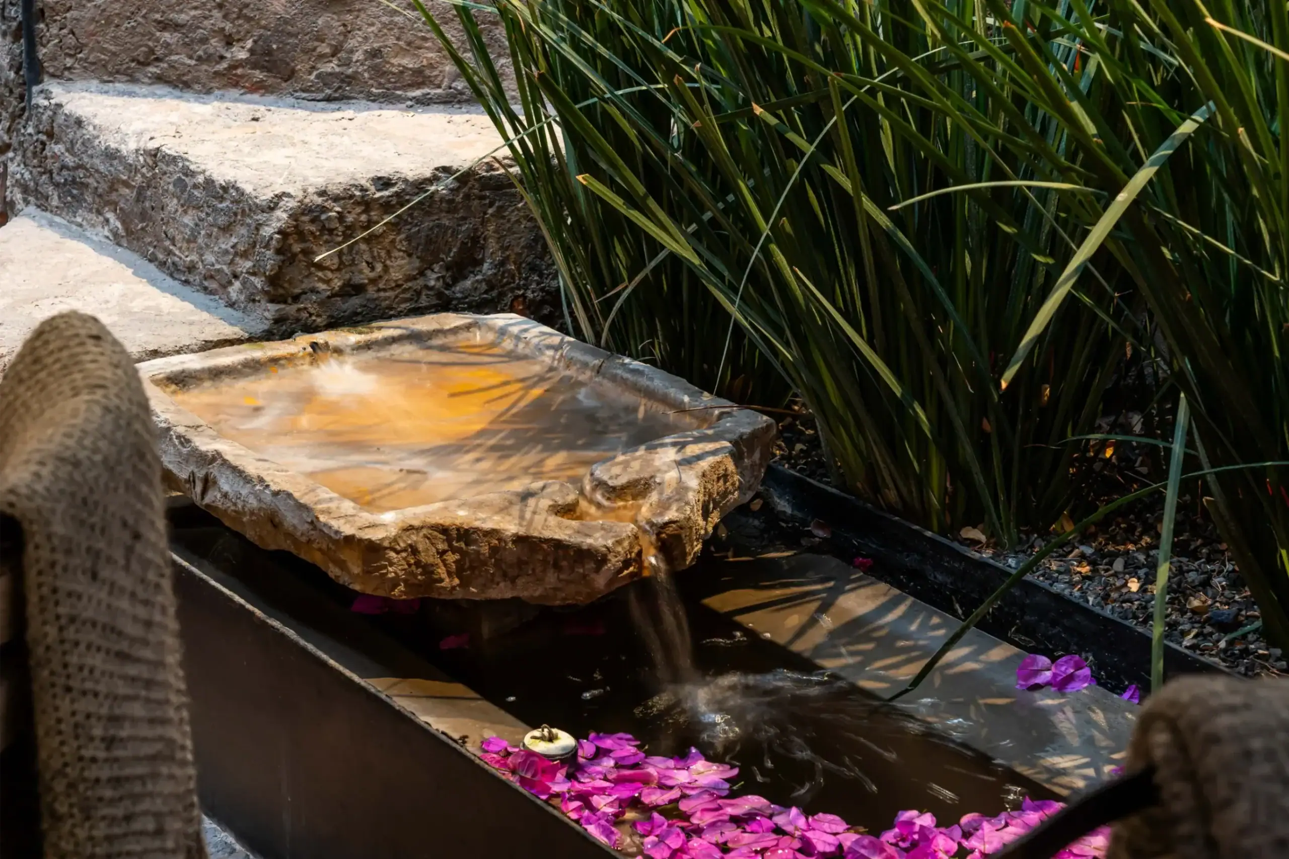 Stone steps beside a stone water trough with pink petals floating on the water and tall green plants on the right, San Miguel de Allende