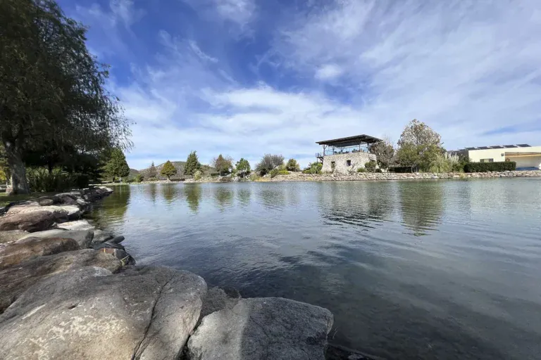 Mañanitas Residence, pond with rocky banks and a modern building in the distance, San Miguel de Allende