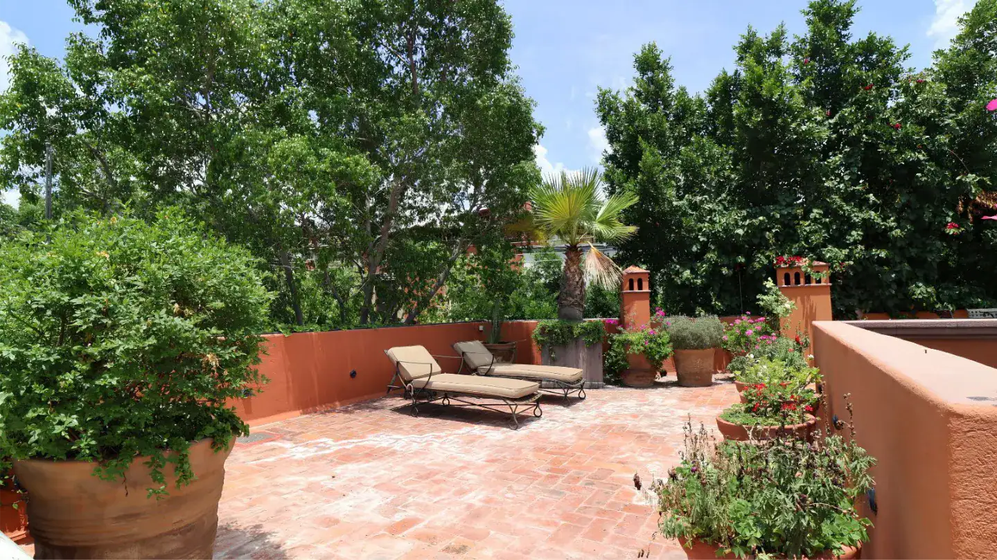 Sunny terracotta patio with two beige lounge chairs, potted plants, and green trees along orange walls, San Miguel de Allende