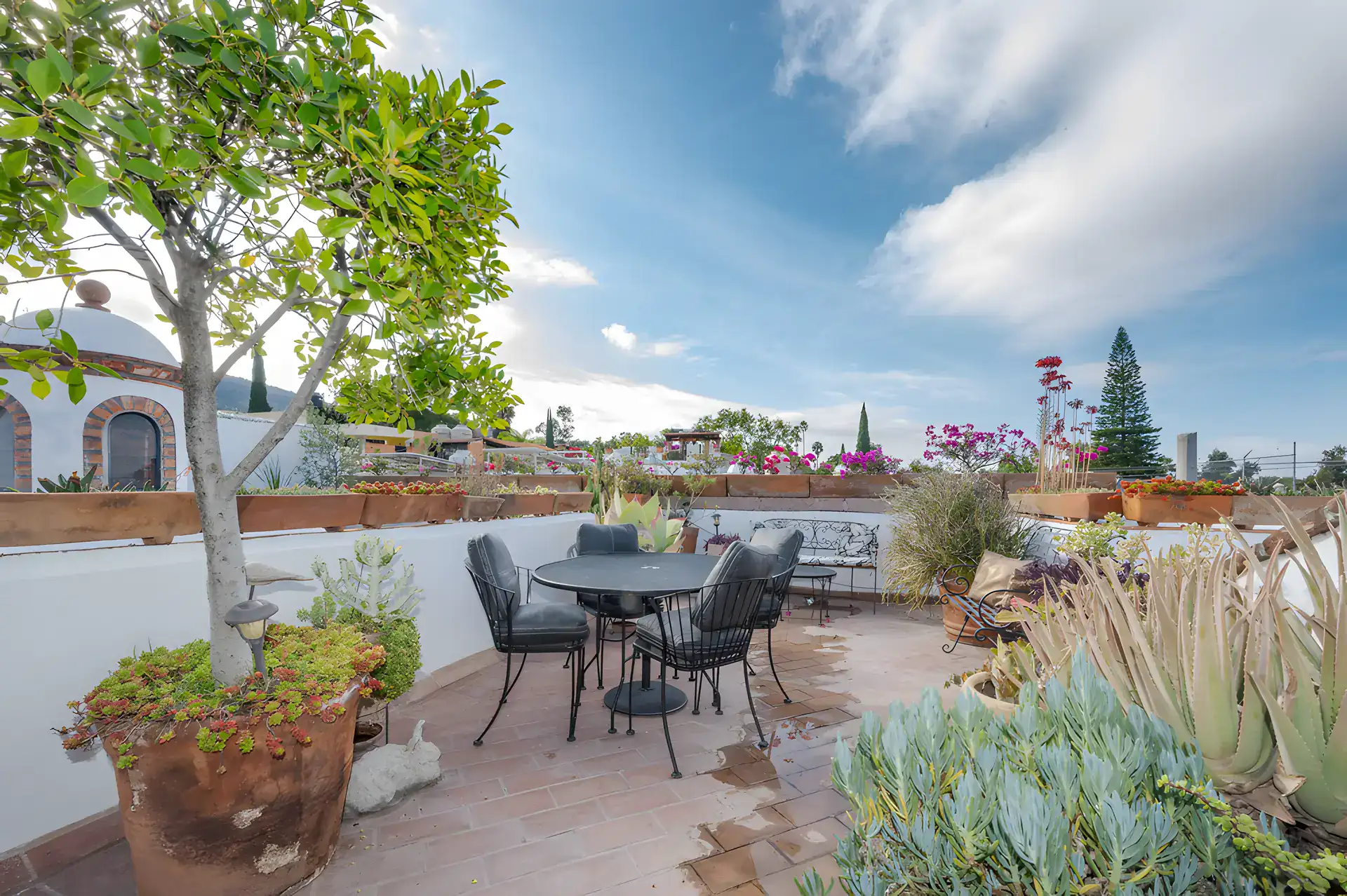 Two Homes, rooftop terrace with a round table and chairs, succulents and a flowering tree, San Miguel de Allende