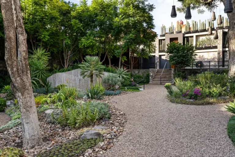 Villa del Parque Central, curving gravel path through a botanical garden toward the villa's stone and glass terraces, San Miguel de Allende